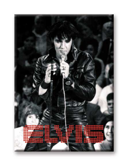 Elvis Presley in Leather Jacket 2.5" x 3.5" Flat Fridge Magnet #94352