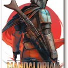 Star Wars - The Mandalorian Look 2.5" x 3.5" Flat Fridge Magnet #94500