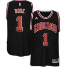 Brand New Derrick Rose Chicago Bulls