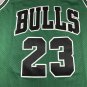 Bull 23 Retro Green