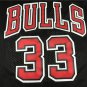Bull 33 Black Retro Logo