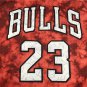 Bulls 23 Constellation Edition