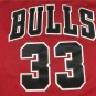 Bulls 33 Final Edition Red