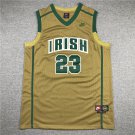 James High School Yellow