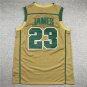 James High School Yellow