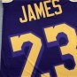 M&N Bigface Series Lakers Print No. 23
