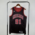 Season 26 Bulls Flyers Limited Edition No. 91 Rodman
