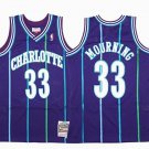 Charlotte Hornets 33# Alonzo Mourning  Purple Stripe