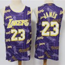 LA Lakers #23 LeBron James Tear Up Pack Swingman  Purple