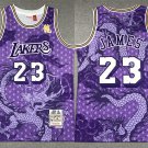 Lakers LeBron James Mitchell & Ness Dragon's Basketball  Purple