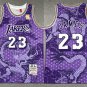 Lakers LeBron James Mitchell & Ness Dragon's Basketball  Purple