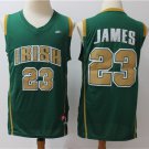 Notre Dame Fighting Irish #23 Lebron James Green Limited Stitched