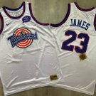 SPACE JAM Tune Squad #23 LeBron James Basketball AU  White