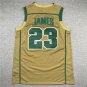 James High School Yellow
