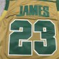 James High School Yellow
