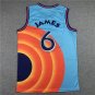 James Slam Dunk 6 Printed Edition
