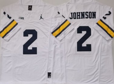 Michigan Wolverines White #2 JOHNSON.