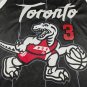 26 Raptors 3 Black City Edition
