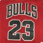 96-97 Bulls Championship Edition 23 Red
