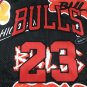 Bull 23 Graffiti