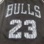 Bull 23 Retro Serpentine Pattern