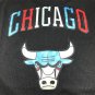 Bulls 23 Colorful