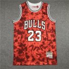 Bulls 23 Constellation Edition