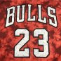 Bulls 23 Constellation Edition