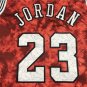 Bulls 23 Constellation Edition