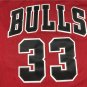Bulls 33 Final Edition Red