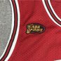 Bulls 33 Final Edition Red