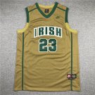 James High School Yellow