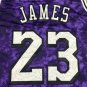 Lakers 23 Constellation Edition