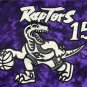 Raptors 15 Constellation Edition