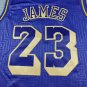 Restocking Lakers 23 Year of the Rat Purple