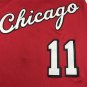 22 Bulls 11 Red City Edition