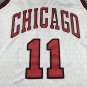 23 Bulls 11 White City Edition