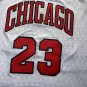 23rd season Bulls City Edition jersey number 23