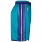 24 season Hornets retro blue pants