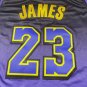 25 Lakers 23 Purple City Edition