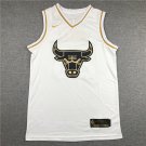Bull 23 Platinum Edition