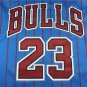 Bull 23 Retro Blue Stripe