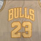 Bull 23 Retro Gold Edition