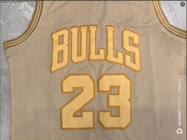 Bull 23 Retro Gold Edition