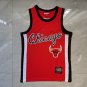 Bulls 23 Chicago Conjoined Blank Version