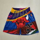 Bulls Jordan Classic Pocket Soccer Shorts