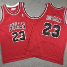Children's clothing bull 23 red retro logo