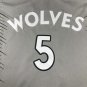 Forest Wolf 5 Grey