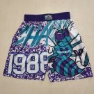 Hornets Mitchell Ness MN Team Blue Ball Pants