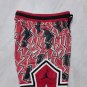 Jordan B-2 Lightning Red Ball Pants